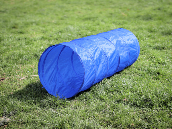Agility Dog Trainings Set X für Hunde